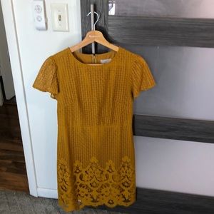 LOFT eyelet golden yellow dress